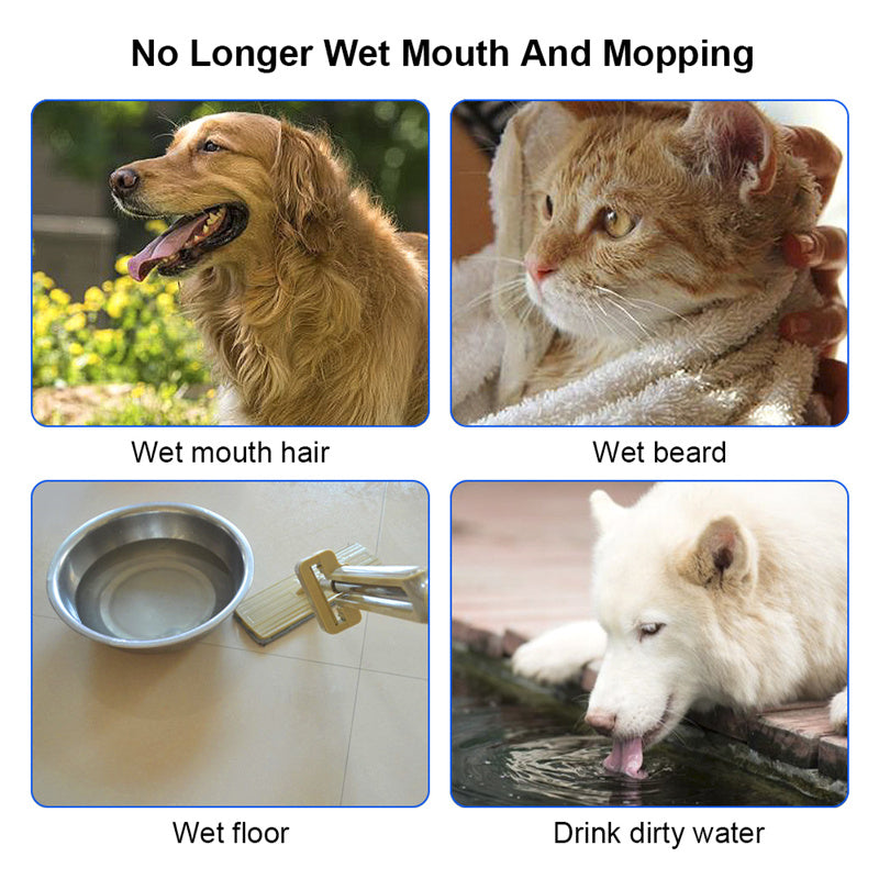 Pet Drinking Fountains 