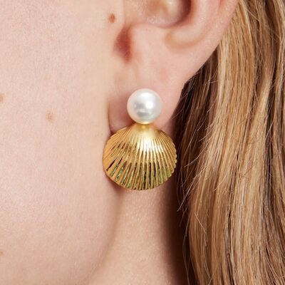 Shell Shape Earrings