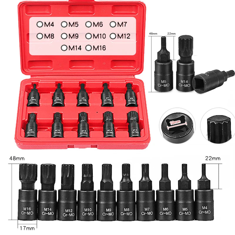 Torx Socket Set 