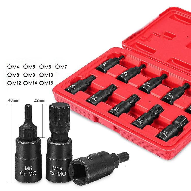 Torx Socket Set 